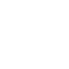 Mentorship & Coaching